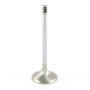 (image for) Extreme-Duty Tulip Exhaust Valve