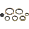 (image for) Moose Offroad Oil Seal Set for KTM 250/300 XC-W (all) 24