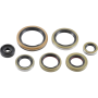 (image for) Moose Offroad Oil Seal Set for KTM 250/300 XC-W (all) 24