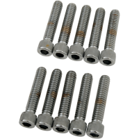 (image for) Coarse-Thread Socket-Head Bolt 1/4"-20 x 1 1/4"