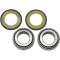 (image for) Steering Stem Bearing Kit 22-1003
