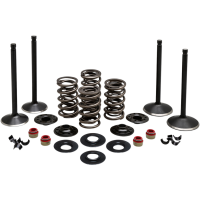 (image for) Black Diamond Engine Valve Kit for Twin Cam