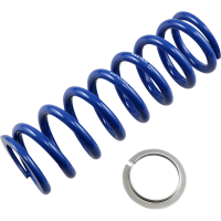 (image for) Rear Shock Spring - 6.0 kg/mm