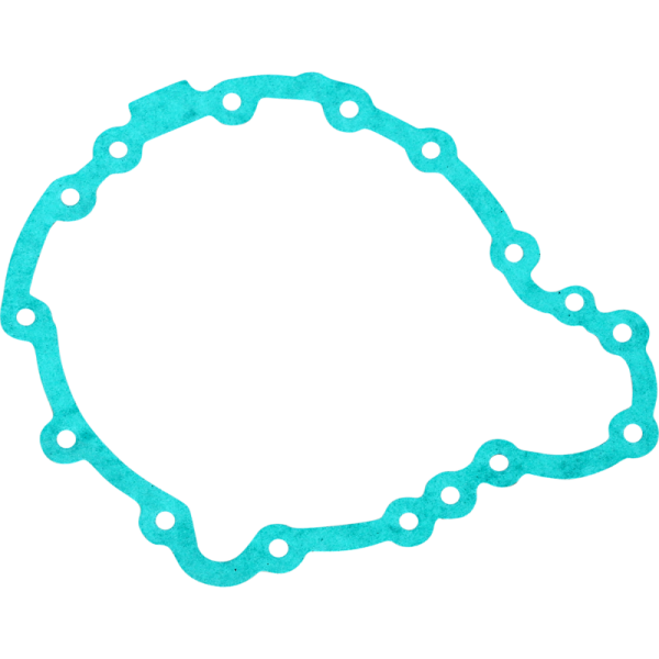 (image for) RICK'S MOTORSPORT ELECTRIC Stator Gasket for Triumph Tiger 1050 11-12