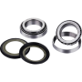 (image for) OEM Series Steering Stem Bearing Kit 0401-0113