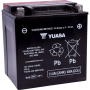 (image for) Yuasa AGM Maintenance Free Battery 2113-0102