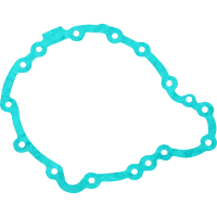 (image for) Stator Gasket for Triumph Tiger 1050 11-12