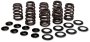 (image for) KPMI Valve Spring Kit 0926-2967