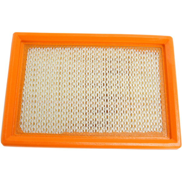 (image for) HiFloFiltro Air Filter for Stelvio 1200 08-14