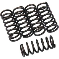 (image for) Barnett Clutch Springs 2012-320