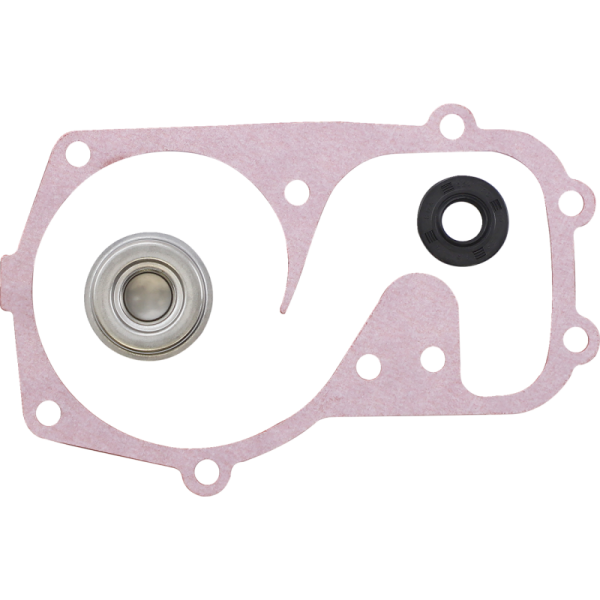 (image for) VERTEX Water Pump Rebuild Kit for Polaris SNO 600 IQ/ES 09