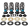 (image for) 0.585" Valve Spring Kit