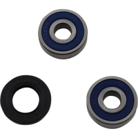 (image for) Front Wheel Bearing and Seal Kit