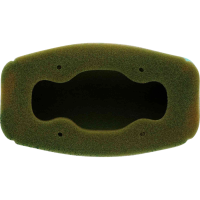 (image for) Twin Air Factory Pre-Oiled Air Filter for GasGas MC 50 24-25