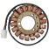 (image for) Stator for Triumph Sprint RS/ST 955 02-04