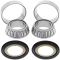 (image for) Steering Stem Bearing Kit