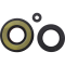 (image for) Engine Oil Seal Kit for Arctic Cat Wild Cat Mountain Cat 92