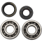 (image for) Main Bearing and Seal Kit - YAMAHA YZ125 01-04