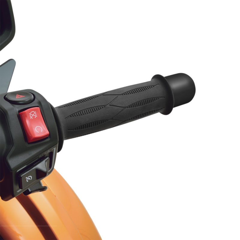 Bar End Weight for CAN-AM Spyder, Black satin