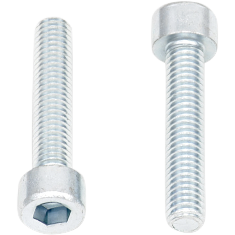 Replacement Smooth Socket-Head Allen Bolt M6 x 1.0 x 30