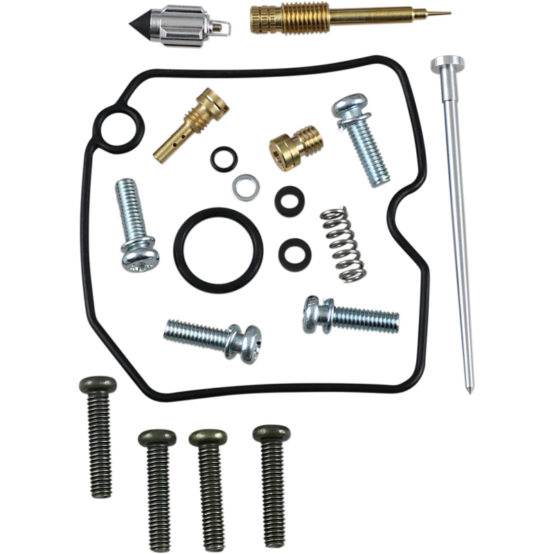 Carburetor Repair Kit