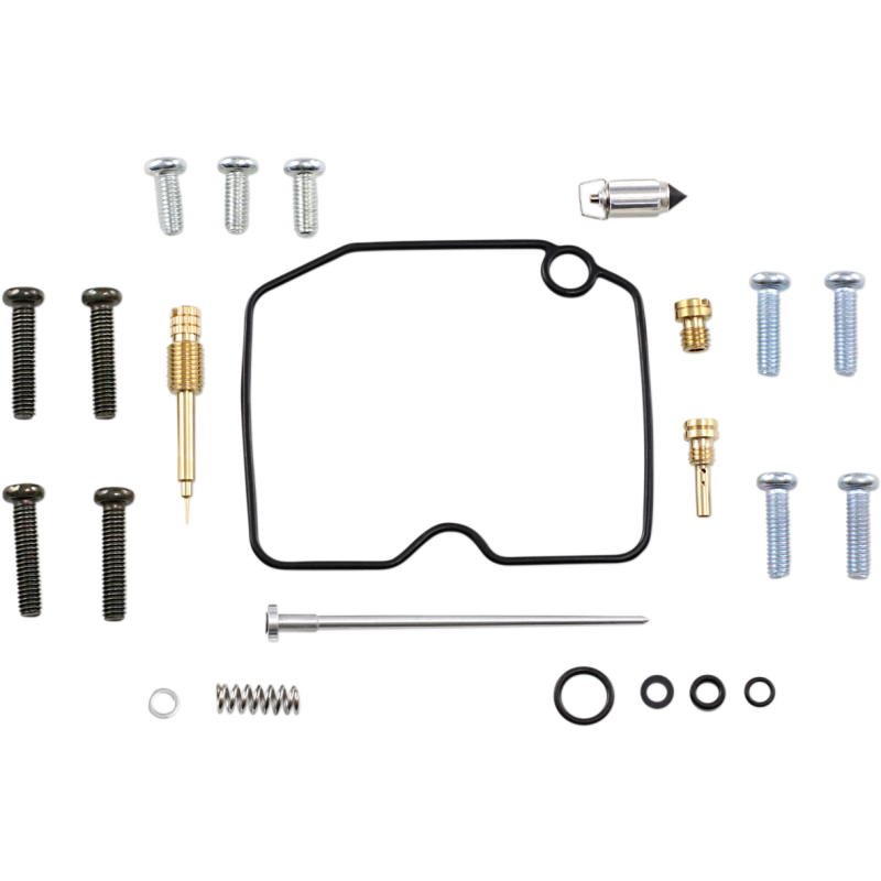 Carburetor Repair Kit