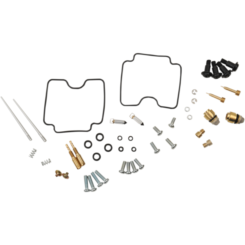 Carburetor Repair Kit
