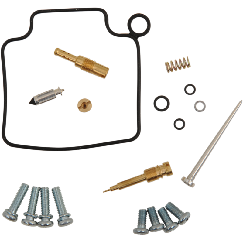 Carburetor Repair Kit