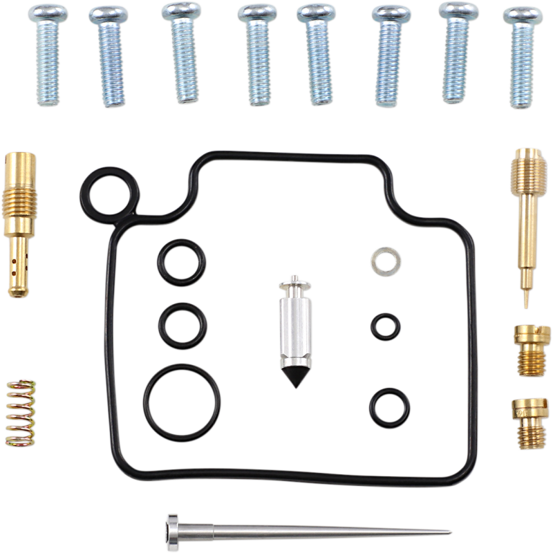 Carburetor Repair Kit