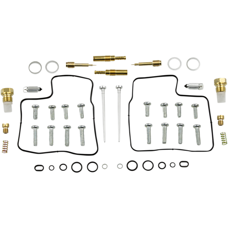 Carburetor Repair Kit