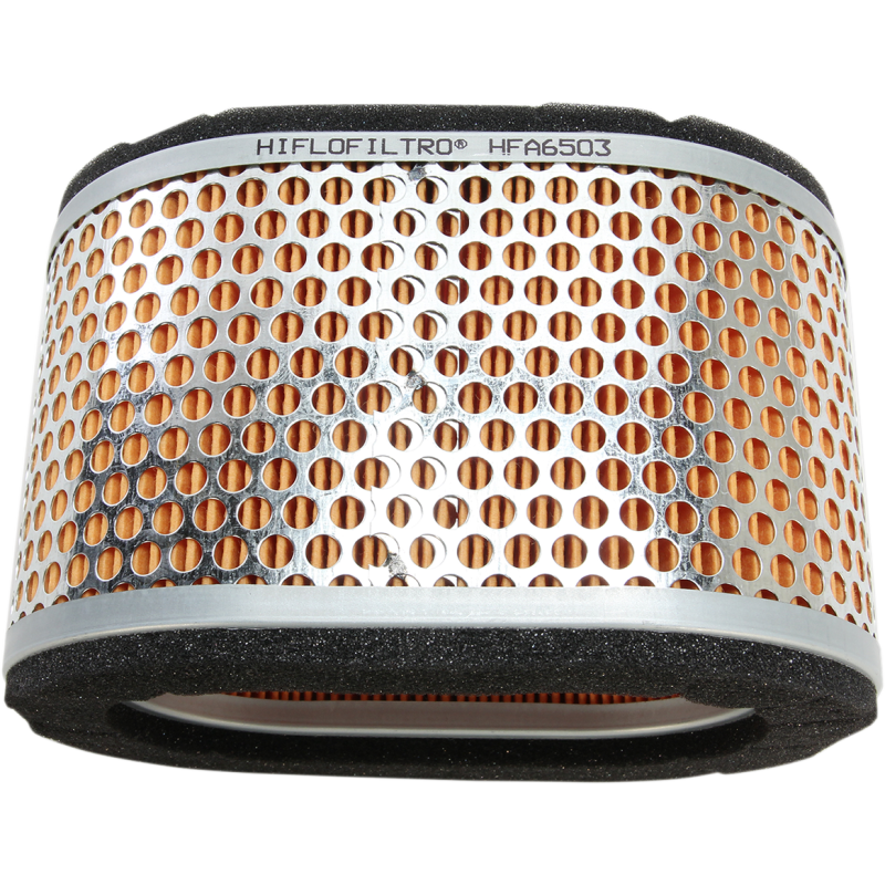 HiFloFiltro Air Filter for Sprint ST 05-10