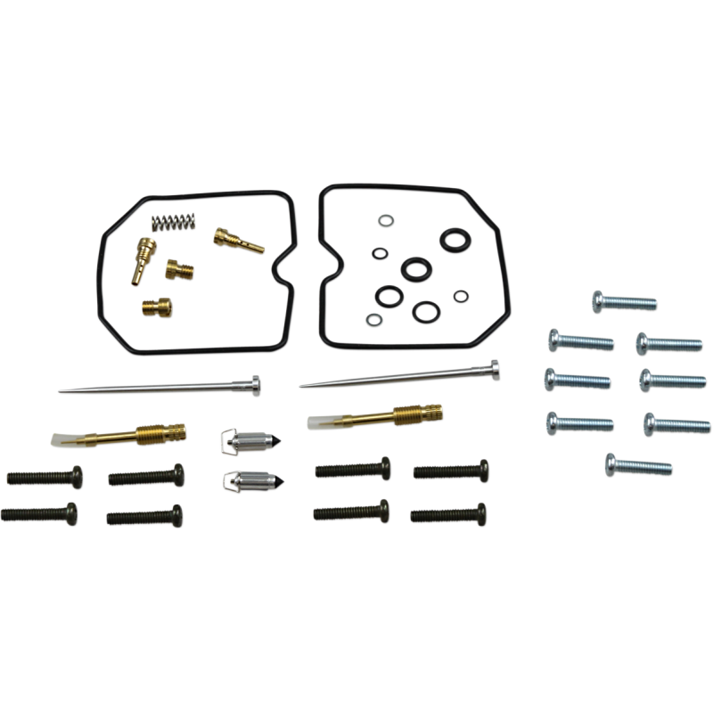 Carburetor Repair Kit