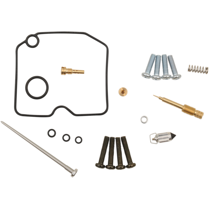 Carburetor Repair Kit