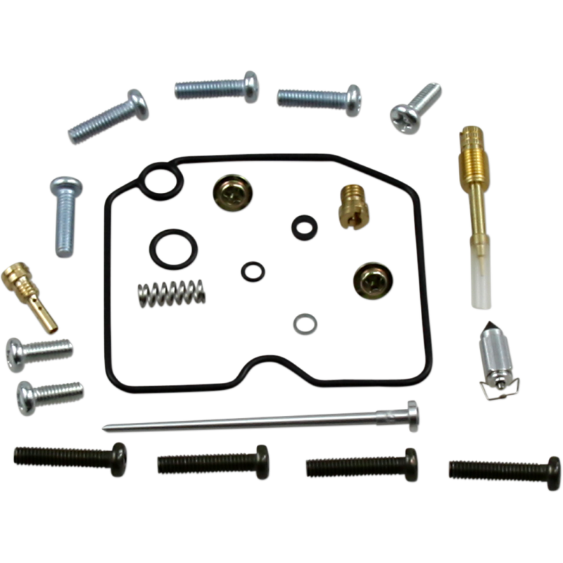 Carburetor Repair Kit