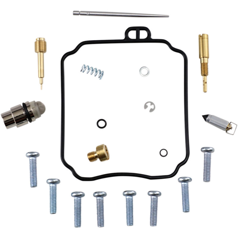 Carburetor Repair Kit