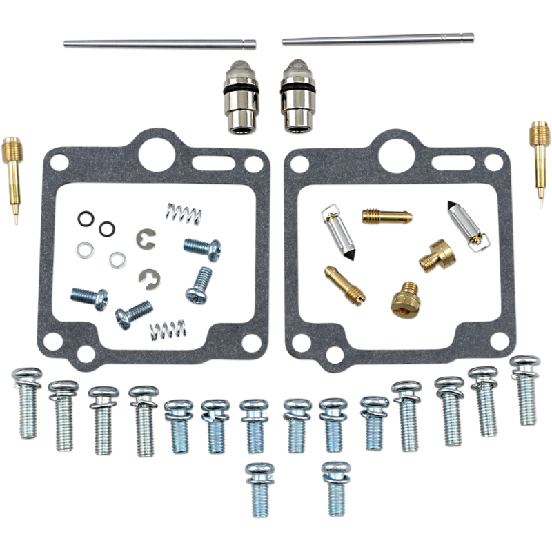 Carburetor Repair Kit