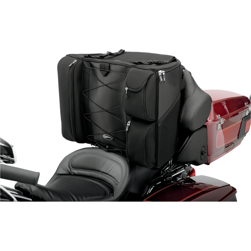 BR4100 Back Seat Bag