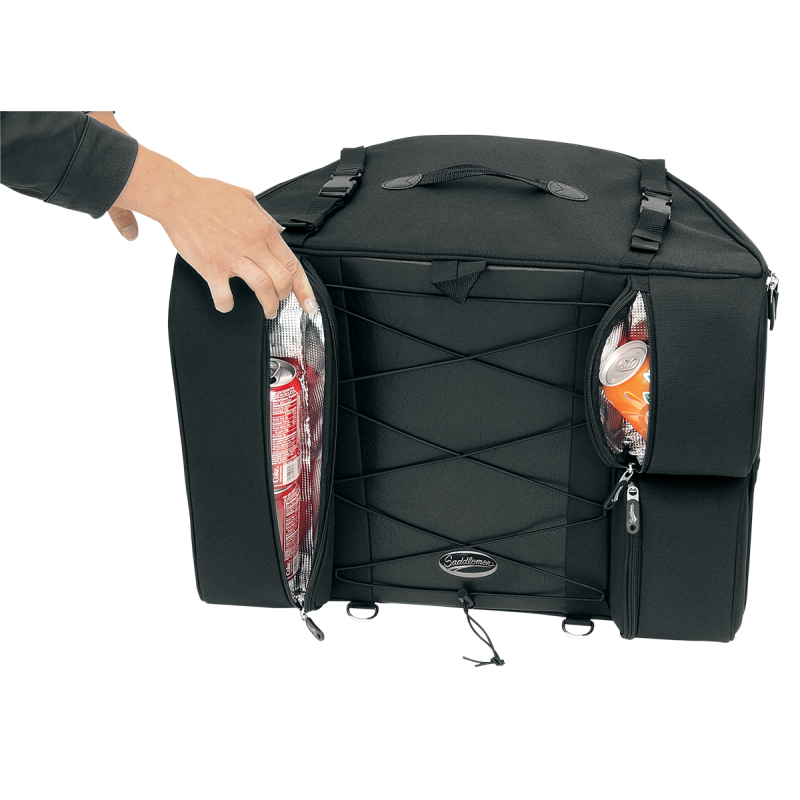 BR4100 Back Seat Bag
