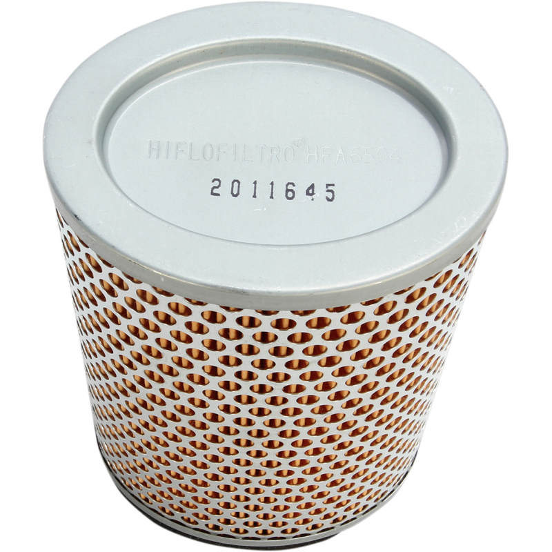 HiFloFiltro Air Filter for Sprint RS/ST 02-04