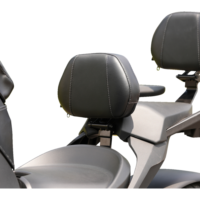 Grande Driver Backrest, Black