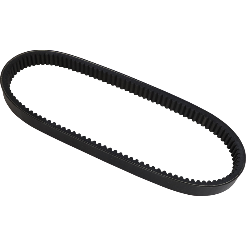 Dayco HP Drive Belt 1142-0344