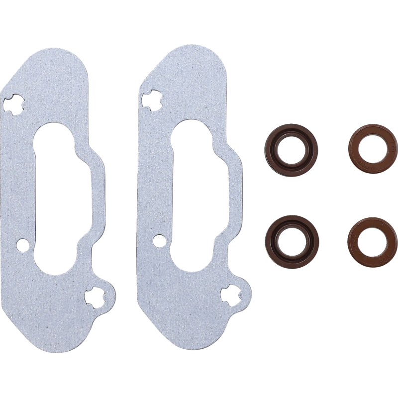 Exhaust Valve Gasket Kit for Ski-Doo 900 Switch Back 05-06