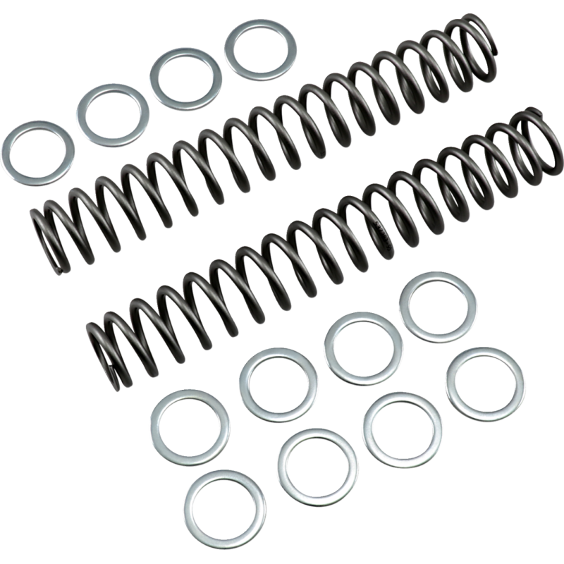 Race Tech Fork Springs