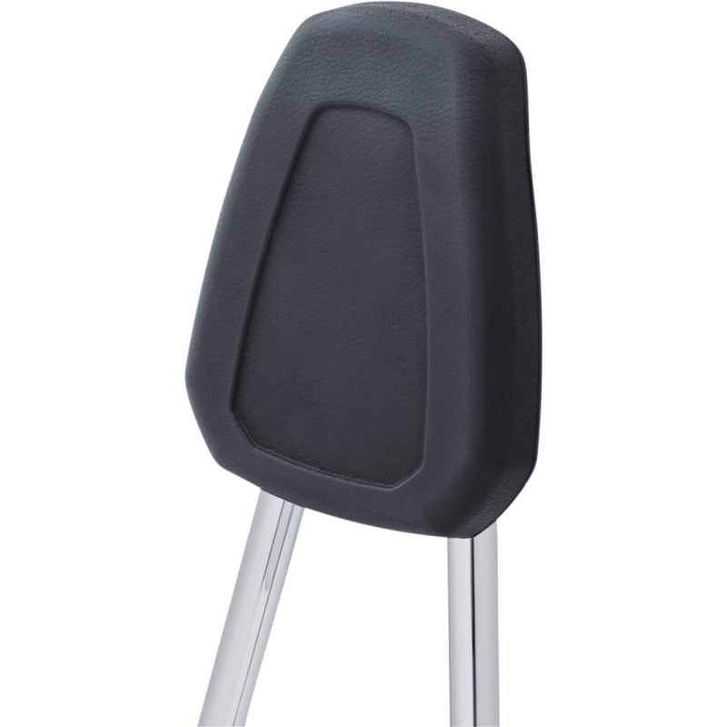 Round Sissy Bar with Pad for FXBR/FLFB