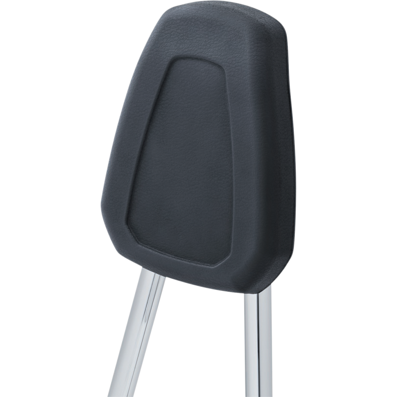 Round Sissy Bar with Pad for XL