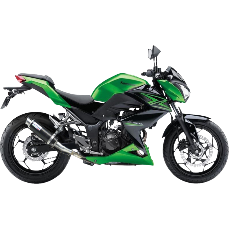 LeoVince GP Corsa Slip-On - Carbon Fiber