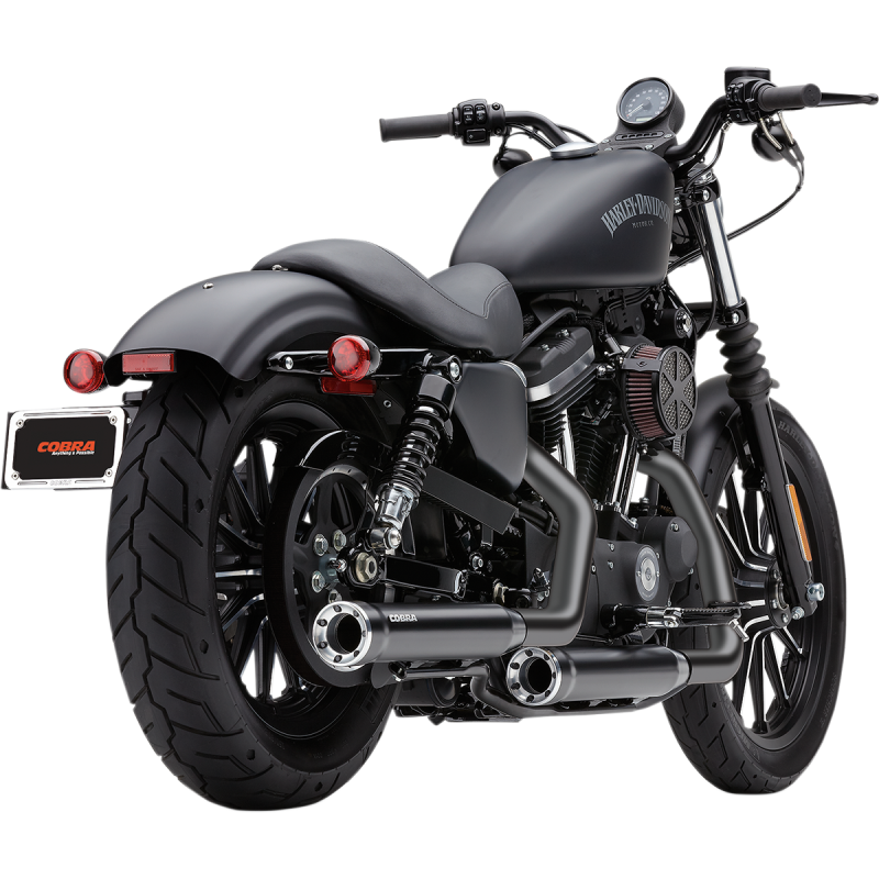 RPT Slip-On Mufflers, Black