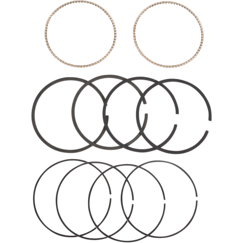 Replacement Ring Set - 3.875" (95") - +0.010"
