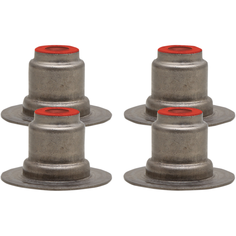 Viton Seal - 17-25 M-Eight