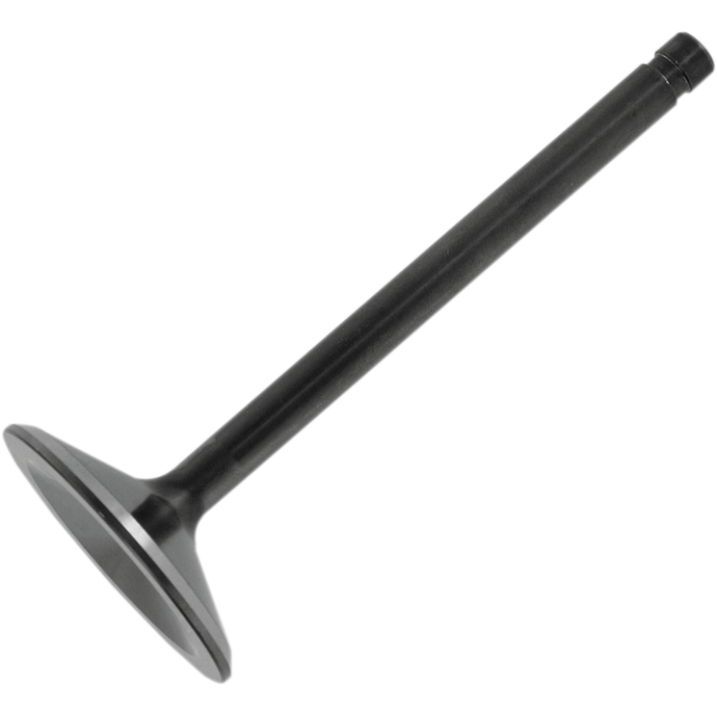 Nitrided Intake Valve Standard